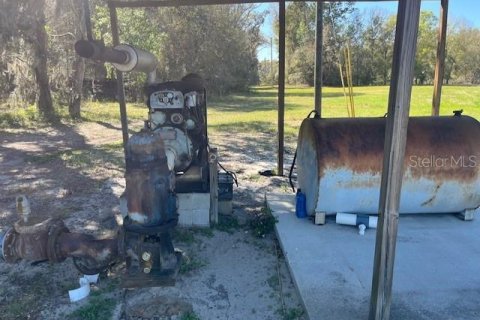 Land in Pierson, Florida № 1720853 - photo 16