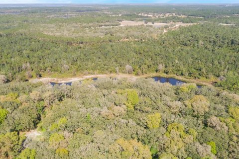 Land in Pierson, Florida № 1720853 - photo 19