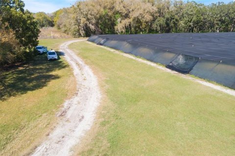 Land in Pierson, Florida № 1720853 - photo 28