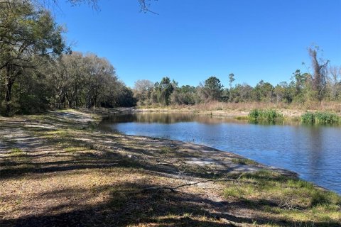 Land in Pierson, Florida № 1720853 - photo 13