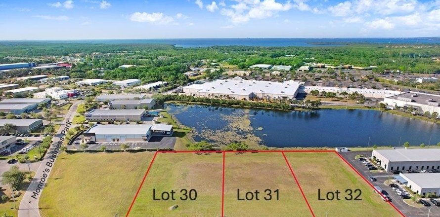 Terrain à Tampa, Floride № 2322927