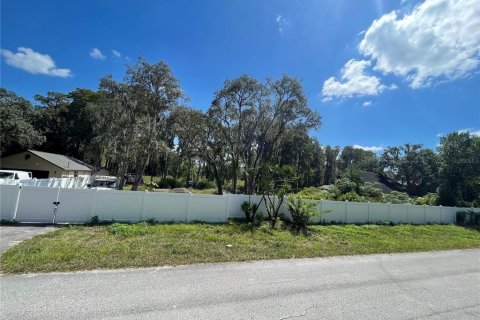 Land in New Port Richey, Florida № 2379008