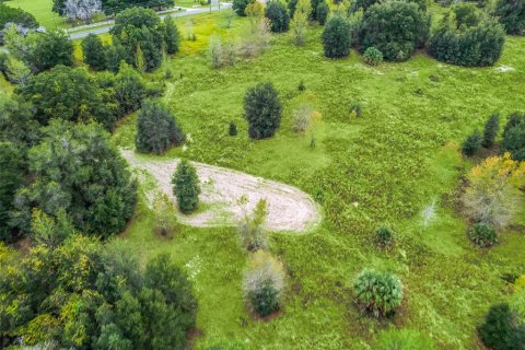 Terreno en venta en Belleview, Florida № 1105384 - foto 5