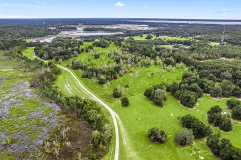 Terreno en venta en Belleview, Florida № 1105384 - foto 1