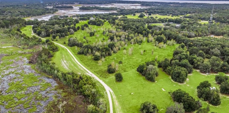 Land in Belleview, Florida № 1105384