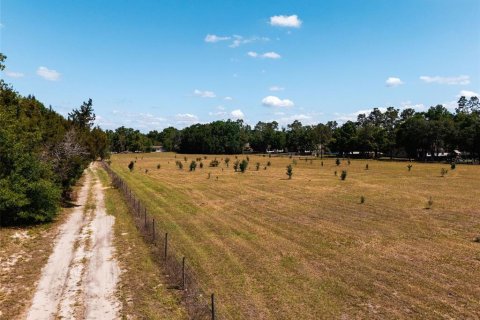 Land in Sorrento, Florida № 1640533 - photo 18