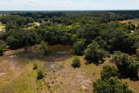 Land in Sorrento, Florida № 1640533 - photo 7