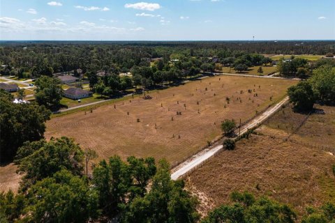 Land in Sorrento, Florida № 1640533 - photo 16