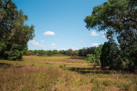 Land in Sorrento, Florida № 1640533 - photo 8