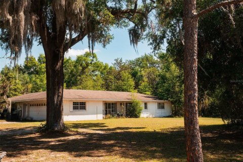 Land in Sorrento, Florida № 1640533 - photo 10