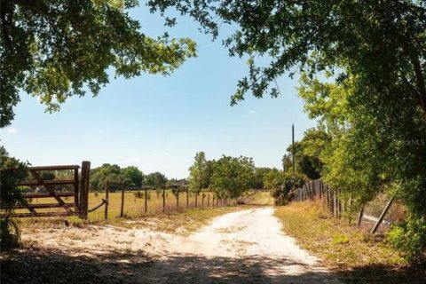 Land in Sorrento, Florida № 1640533 - photo 5