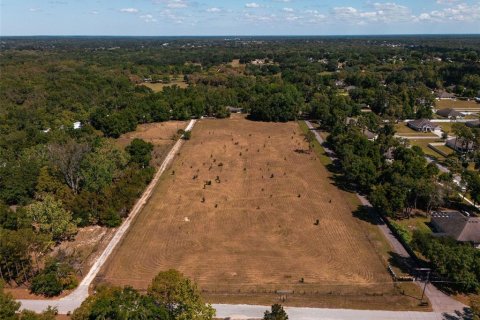 Land in Sorrento, Florida № 1640533 - photo 2