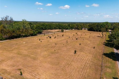 Land in Sorrento, Florida № 1640533 - photo 13