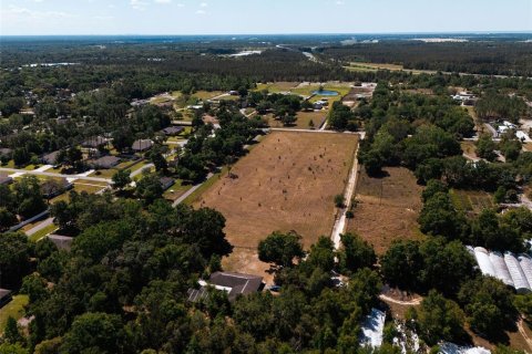 Land in Sorrento, Florida № 1640533 - photo 1
