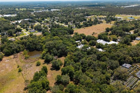 Land in Sorrento, Florida № 1640533 - photo 19