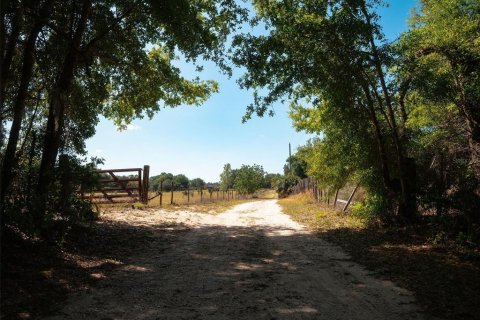 Land in Sorrento, Florida № 1640533 - photo 14