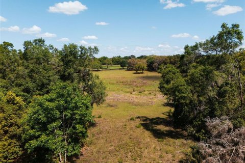 Land in Sorrento, Florida № 1640533 - photo 3