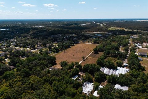 Land in Sorrento, Florida № 1640533 - photo 20