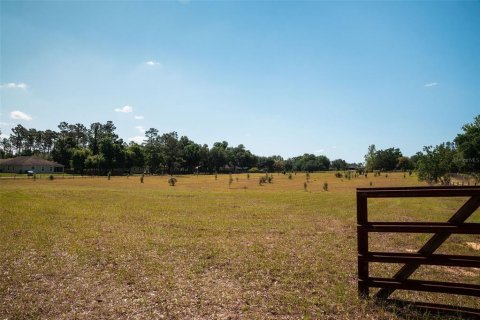 Land in Sorrento, Florida № 1640533 - photo 9