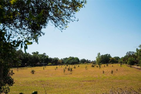 Land in Sorrento, Florida № 1640533 - photo 6