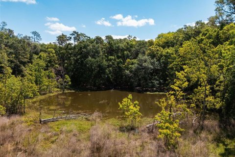 Land in Sorrento, Florida № 1640533 - photo 12