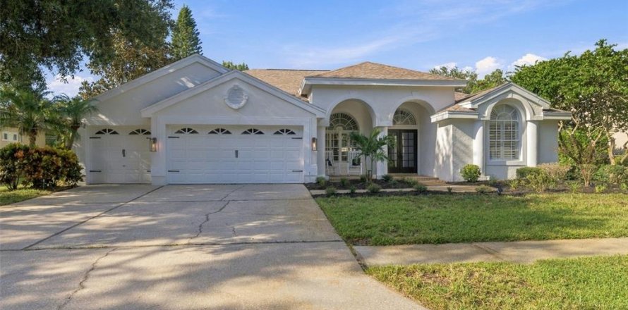 Villa ou maison à Palm Harbor, Floride 4 chambres, 227.52 m2 № 2409017