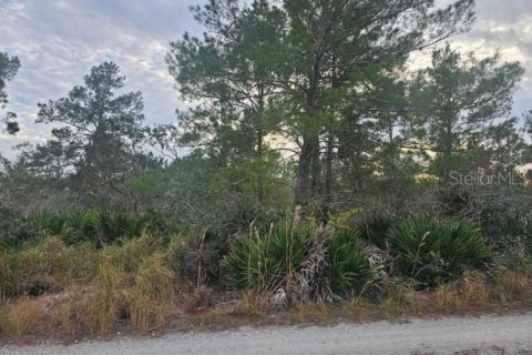 Terrain à Sebring, Floride № 2204400