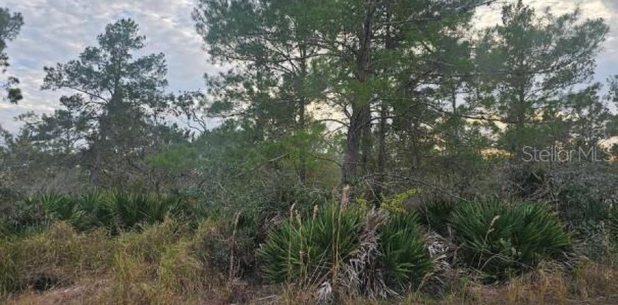 Terrain à Sebring, Floride № 2204400