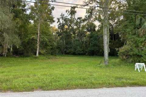 Land in Astor, Florida № 2202474