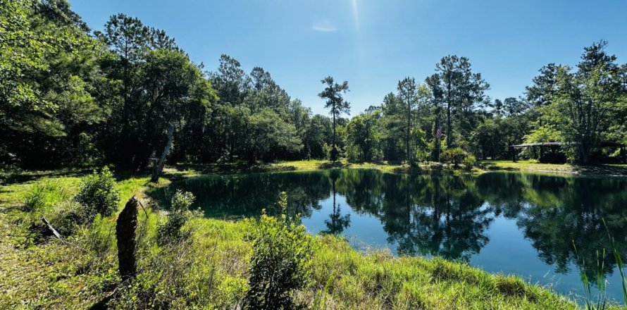 Terrain à Jacksonville, Floride № 770304
