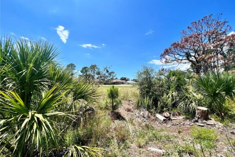 Terrain à vendre à Rotonda, Floride № 1306660 - photo 4