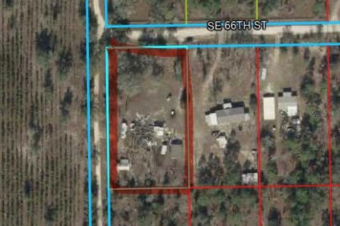 Land in Morriston, Florida № 2400272 - photo 14