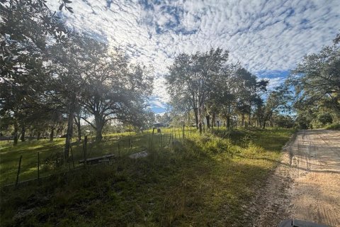 Land in Morriston, Florida № 2400272 - photo 10