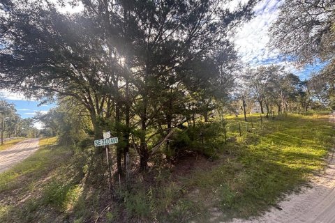 Land in Morriston, Florida № 2400272 - photo 9