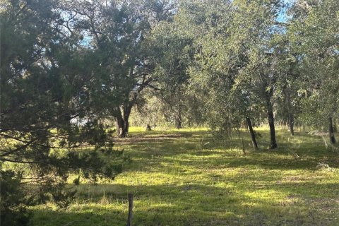Land in Morriston, Florida № 2400272 - photo 3