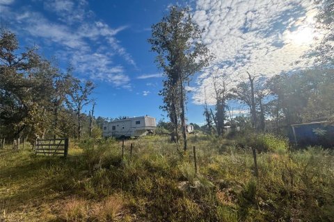 Land in Morriston, Florida № 2400272 - photo 13