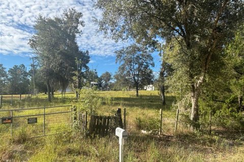Land in Morriston, Florida № 2400272