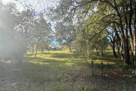 Land in Morriston, Florida № 2400272 - photo 6