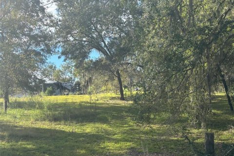 Land in Morriston, Florida № 2400272 - photo 5
