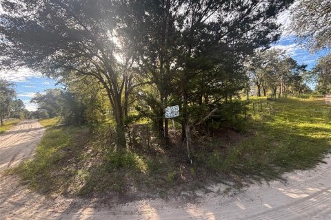 Land in Morriston, Florida № 2400272 - photo 8