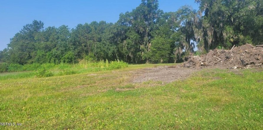 Terreno en Green Cove Springs, Florida № 767747