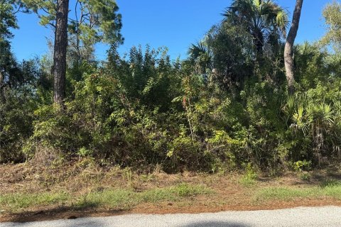 Land in Port Charlotte, Florida № 2155174 - photo 6