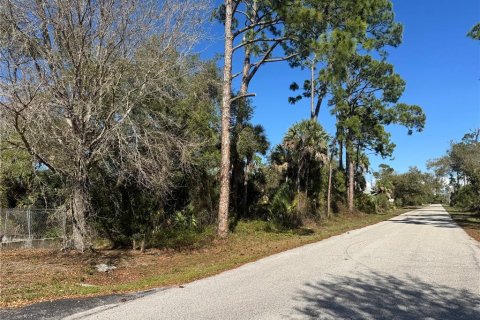 Land in Port Charlotte, Florida № 2155174 - photo 10