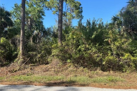 Land in Port Charlotte, Florida № 2155174 - photo 2