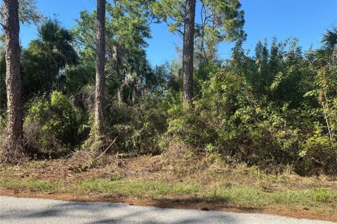 Land in Port Charlotte, Florida № 2155174 - photo 9