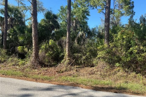 Land in Port Charlotte, Florida № 2155174 - photo 1