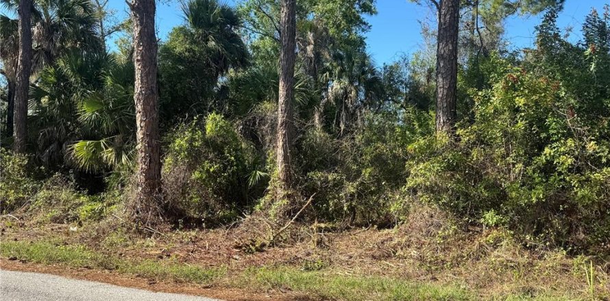 Land in Port Charlotte, Florida № 2155174