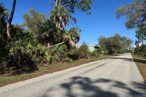 Land in Port Charlotte, Florida № 2155174 - photo 4