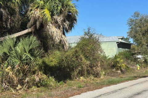 Land in Port Charlotte, Florida № 2155174 - photo 3