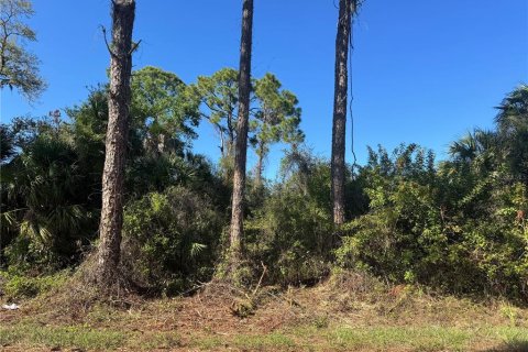 Land in Port Charlotte, Florida № 2155174 - photo 11